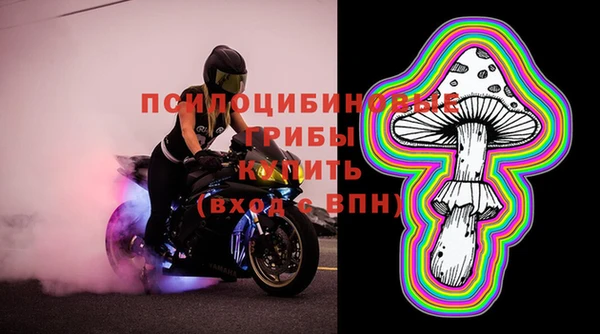круглые Абаза